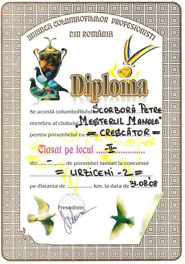 Picture 010 - Diplome