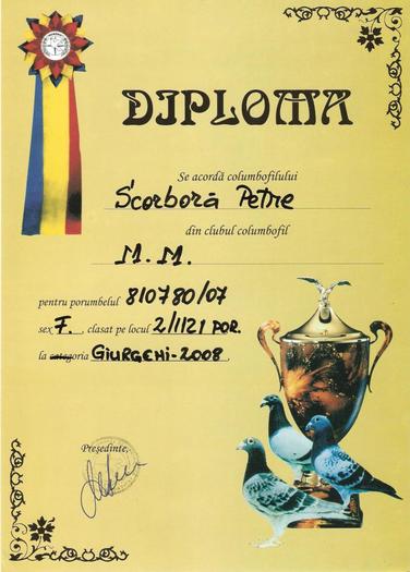 Picture 011 - Diplome