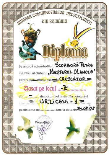 Picture 013 - Diplome