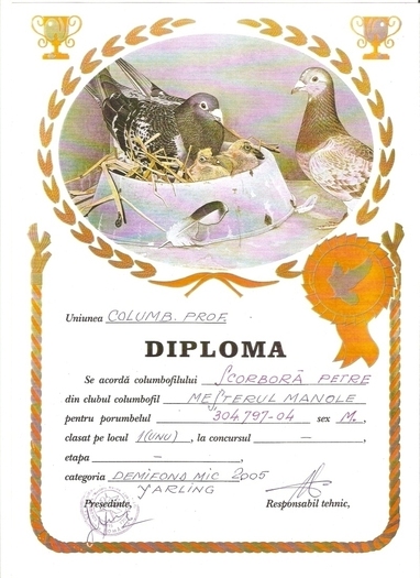 scan0002 - Diplome