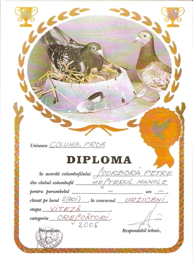 scan0003 - Diplome