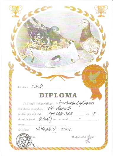 scan0007 - Diplome