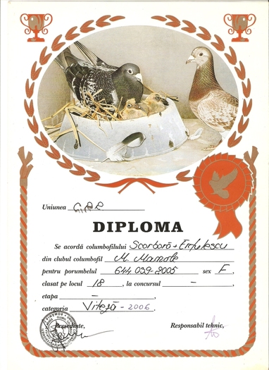 scan0008 - Diplome