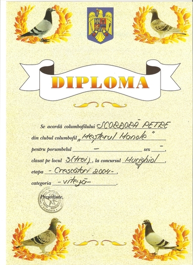 scan0011 - Diplome