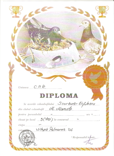 scan0012 - Diplome