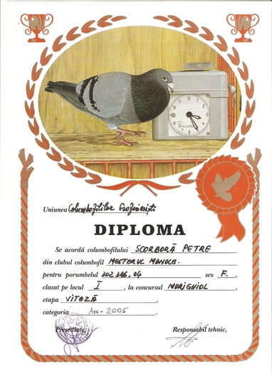 scan0015 - Diplome