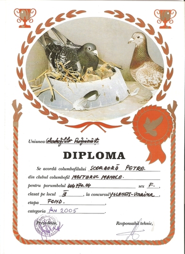 scan0017 - Diplome