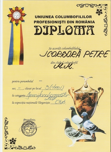 scan0018 - Diplome