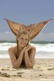 images (16)