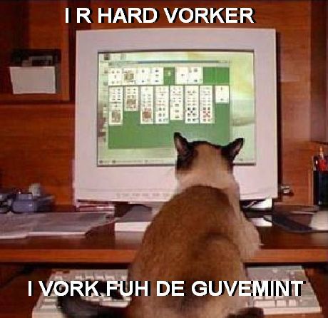 poze-haioase-pisici-calculatoare-solitaire - calculatoare