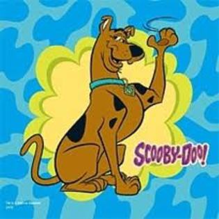 poster cu scooby