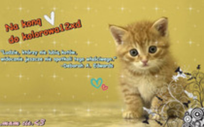 xMyLoveSelenaMGxD(ocupat)