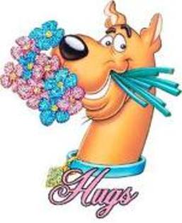 scooby iti daruieste flori