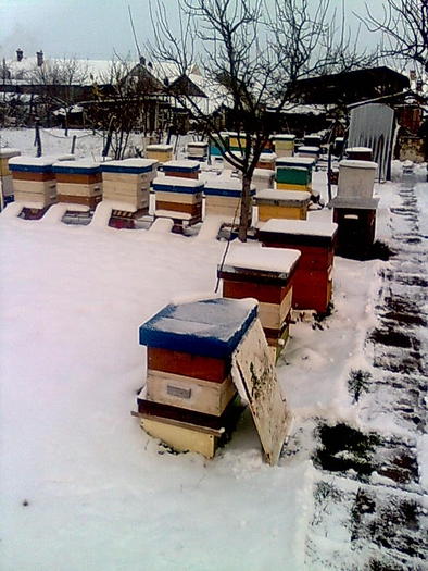 poze 2 039 prima zapada in 2010