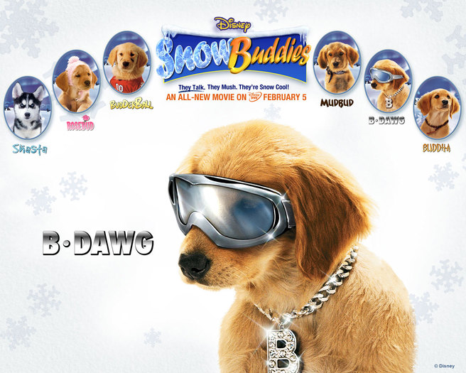 snow_buddies_bdawg - concurs 4