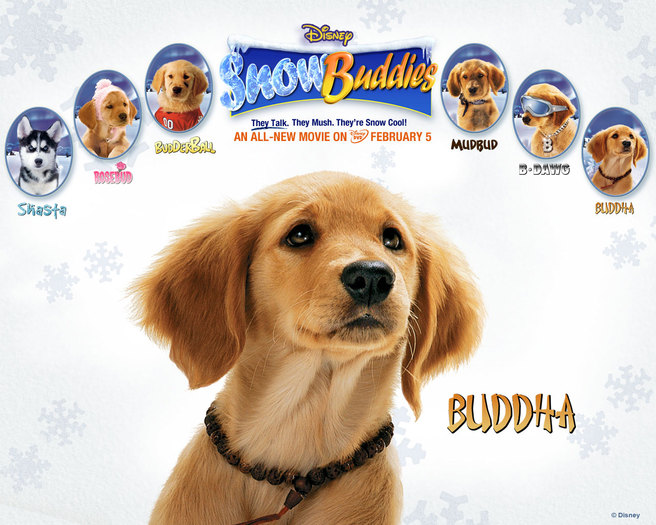 snow_buddies_buddha - concurs 4