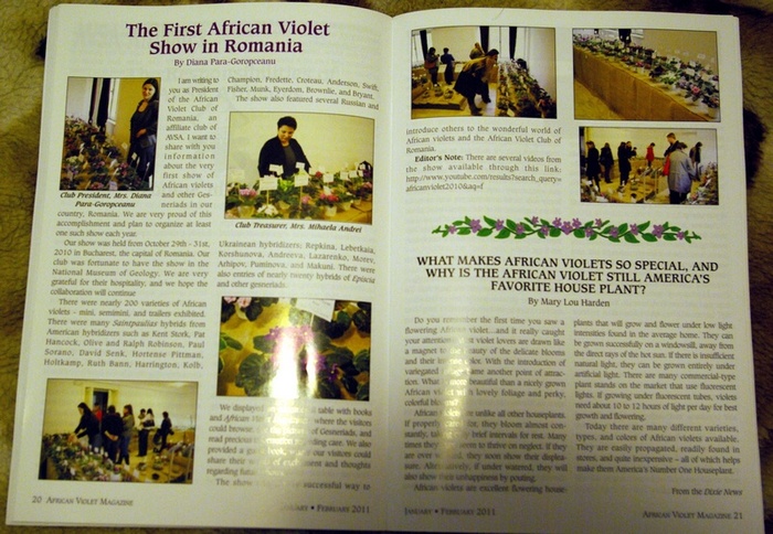 SG103995 - A 2010 - 29-30-31 Octombrie Expozitie Violete Africane