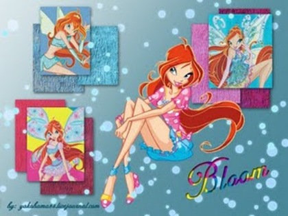 bloomimages - Bloom