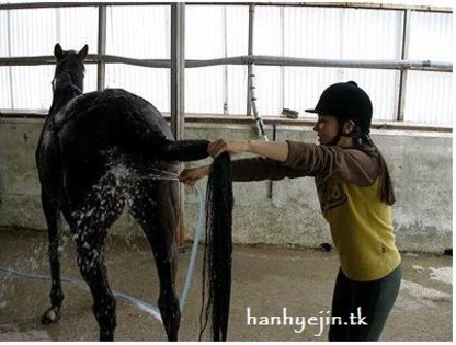 zafe7wie8hkeismekn3e