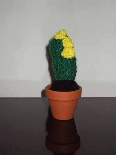 Cactus cu floricele galbene; Cactus miniatural tricotat
