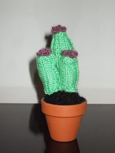 Cactus miniatural ricotat - Lucru de mana