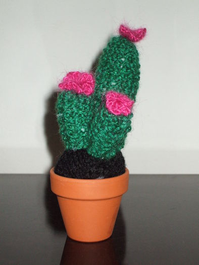 Cactus miniatural tricotat - Lucru de mana