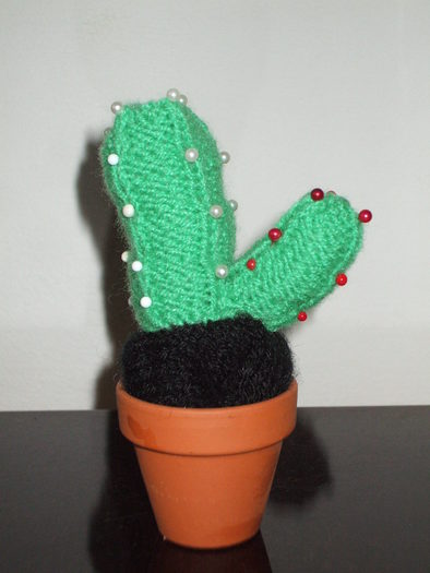 Cactus miniatural tricotat