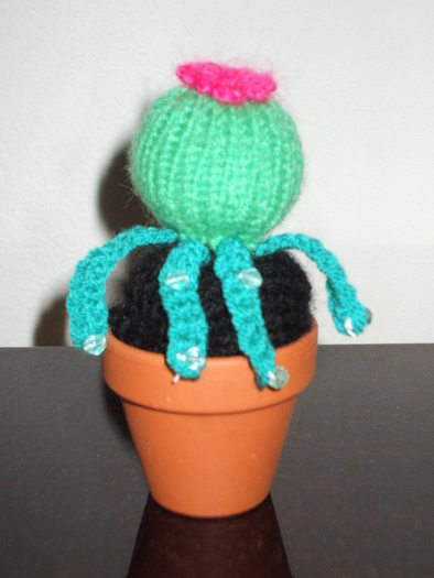 Cactus miniatural tricotat