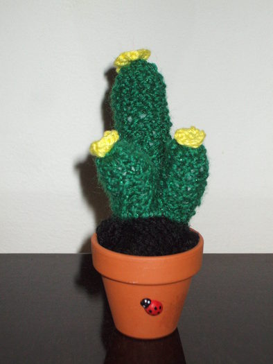 Cactus miniatural tricotat