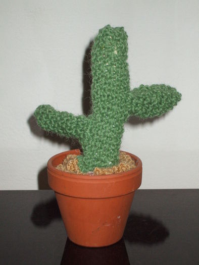 Cactus miniatural tricotat