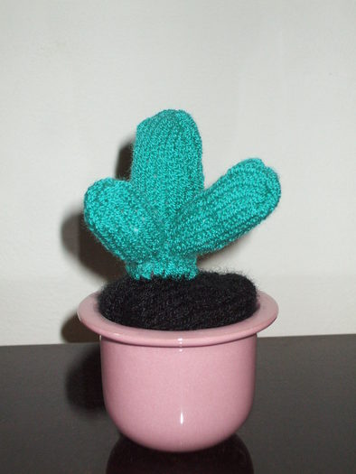 Cactus miniatural tricotat