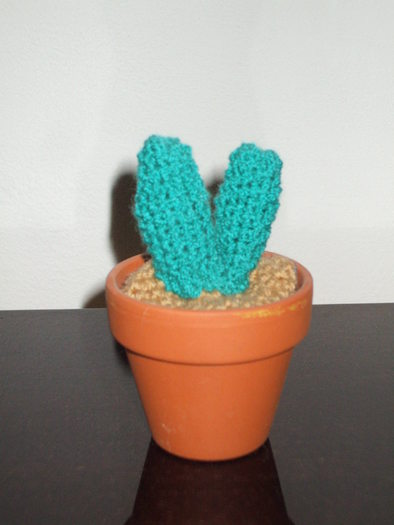 Cactus miniatural tricotat