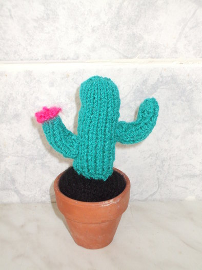 Cactus miniatural tricotat - Lucru de mana