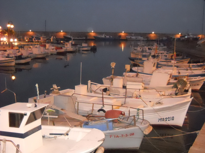 DSCN2659 - l Almetla del mar