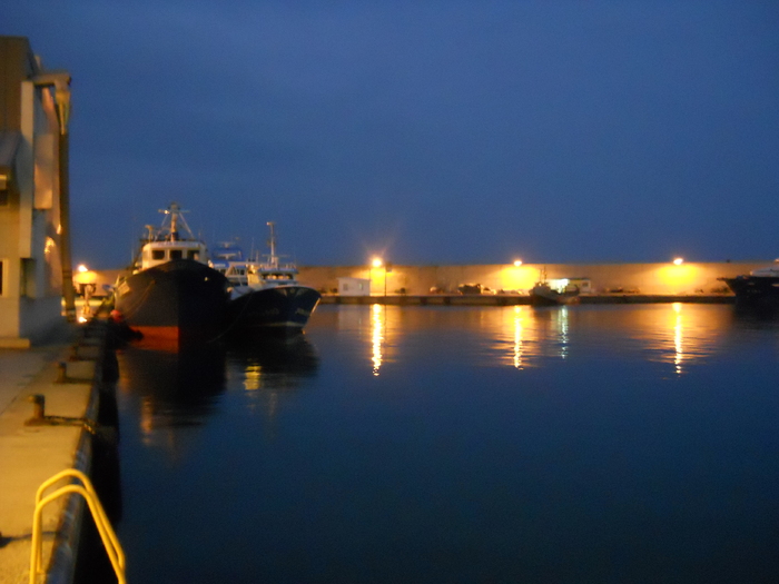 DSCN2669 - l Almetla del mar