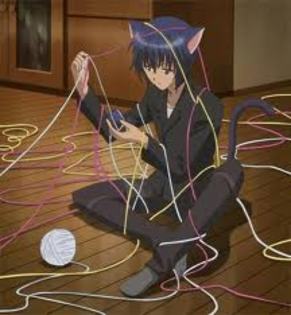 sadd - Shugo Chara