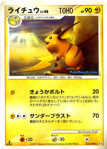 raichu[1] - Raichu