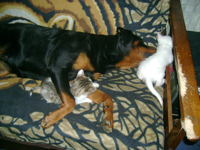 DSC01475 - MAYA REMERBER 2010-2018