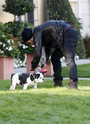 Joe+Jonas+Ashley+Greene+Joe+Jonas+Walking+B5QMP6ufX14l - Ashley Greene and Joe Jonas Walking Their Dogs In Hollywood