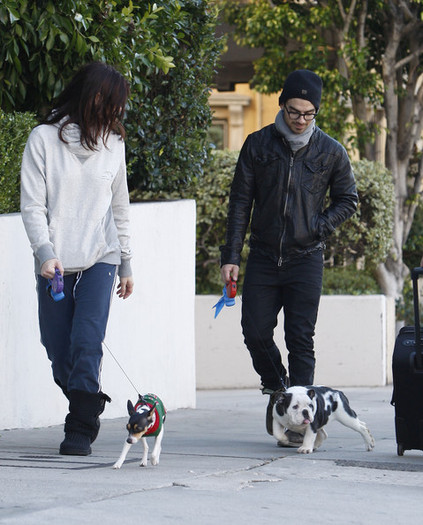 Joe+Jonas+Ashley+Greene+Joe+Jonas+Walking+Od_SsYuP9SHl - Ashley Greene and Joe Jonas Walking Their Dogs In Hollywood