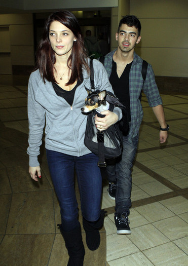 Joe+Jonas+Joe+Jonas+Ashley+Greene+Arriving+1JThPB3QczGl - Joe Jonas And Ashley Greene Arriving On A Flight At LAX