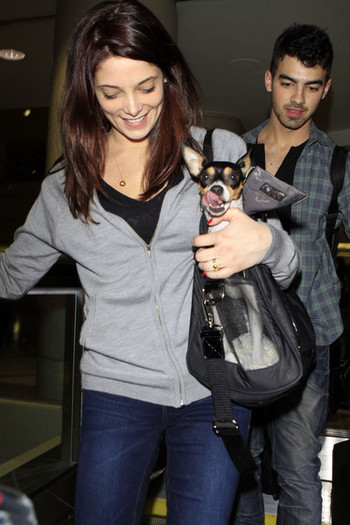 Joe+Jonas+Joe+Jonas+Ashley+Greene+Arriving+nutAfYyp_Iol