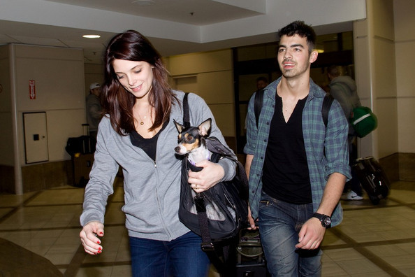 Greene+and+Jonas+cute+arrival+qEpMpn_y0w6l - Joe Jonas and Ashley Greene at LAX