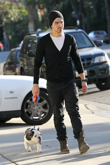 Joe+Jonas+carries+new+English+bulldog+puppy+aQcfRVZgBIUl - Joe Jonas and His New Puppy on a Walk