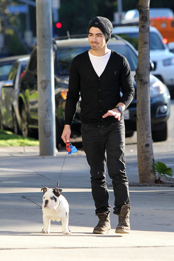 Joe+Jonas+carries+new+English+bulldog+puppy+g9yckhbHWell - Joe Jonas and His New Puppy on a Walk