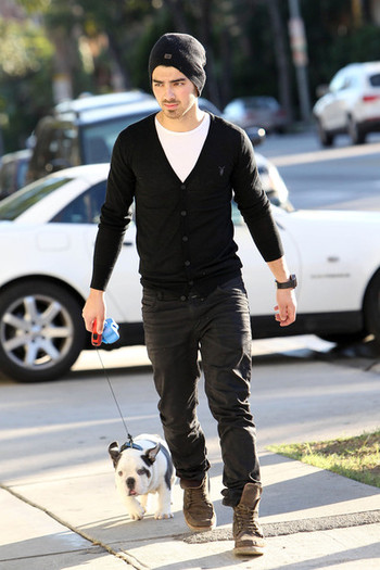 Joe+Jonas+carries+new+English+bulldog+puppy+GxXCs0C88Udl - Joe Jonas and His New Puppy on a Walk