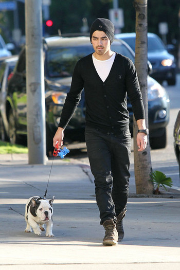 Joe+Jonas+carries+new+English+bulldog+puppy+ktyAd5NVjual - Joe Jonas and His New Puppy on a Walk