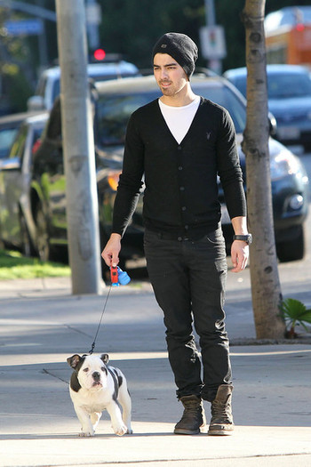 Joe+Jonas+carries+new+English+bulldog+puppy+SyUQYsFcy4ol - Joe Jonas and His New Puppy on a Walk