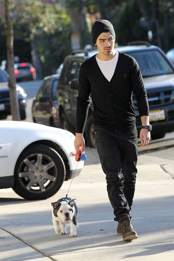 Joe+Jonas+carries+new+English+bulldog+puppy+ZOT61xveuc4l - Joe Jonas and His New Puppy on a Walk