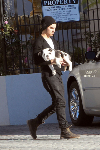 Joe+Jonas+carries+new+English+bulldog+puppy+fDtShi9D5_ul - Joe Jonas and His New Puppy on a Walk